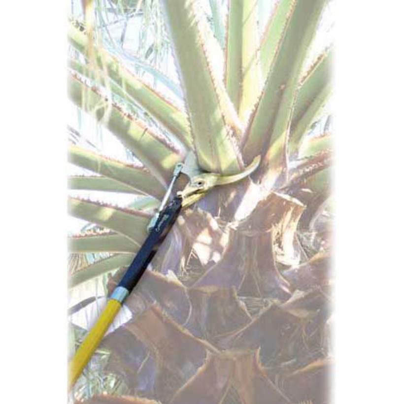 APP2156 ADI 6" Palm Pruner