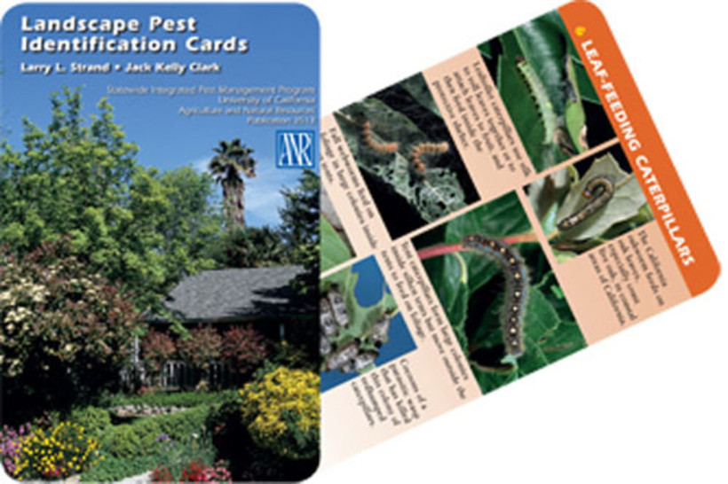 Landscape Pest Identification Cards
