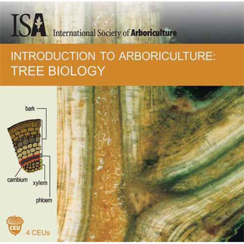 CD Training - Tree Biology *Spanish*