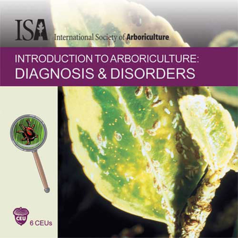 CD Training - Diagnosis & Disorders