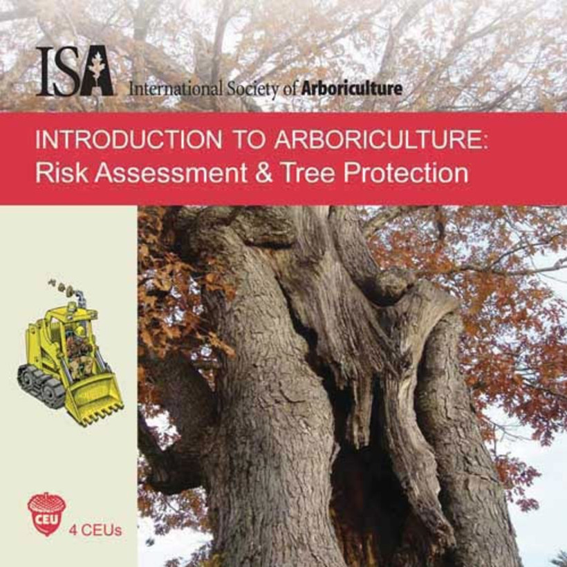 CD Training - Risk Assessment & Tree Protection