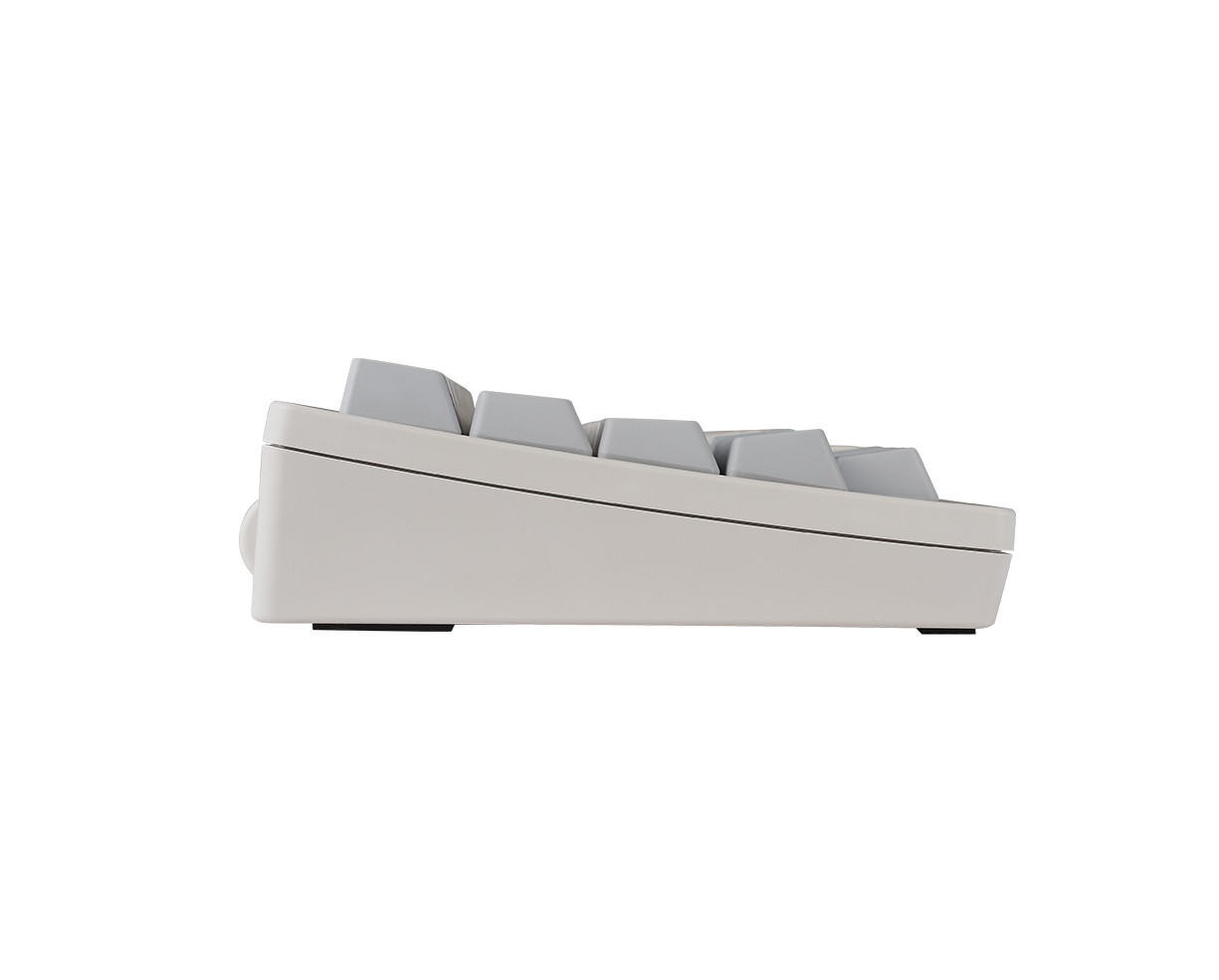Happy Hacking Keyboard Professional Hybrid (white, no stamp) 45g