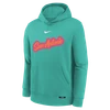San Antonio Spurs Youth Nike 2025-2026 City Edition Club Wordmark Hoodie - Teal
