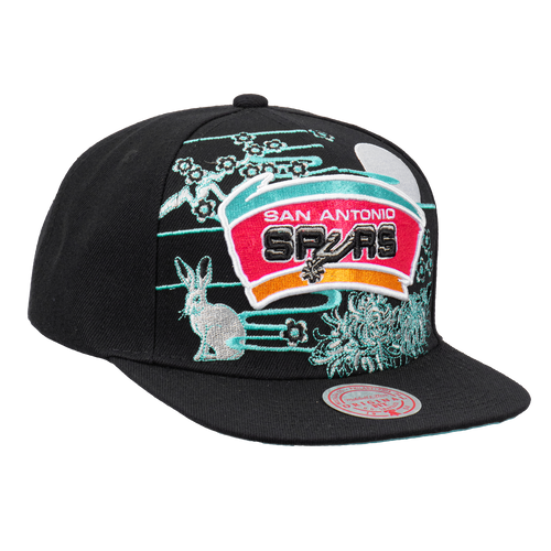 Men's Mitchell & Ness Teal San Antonio Spurs Hardwood Classics Earthquake Snapback  Hat