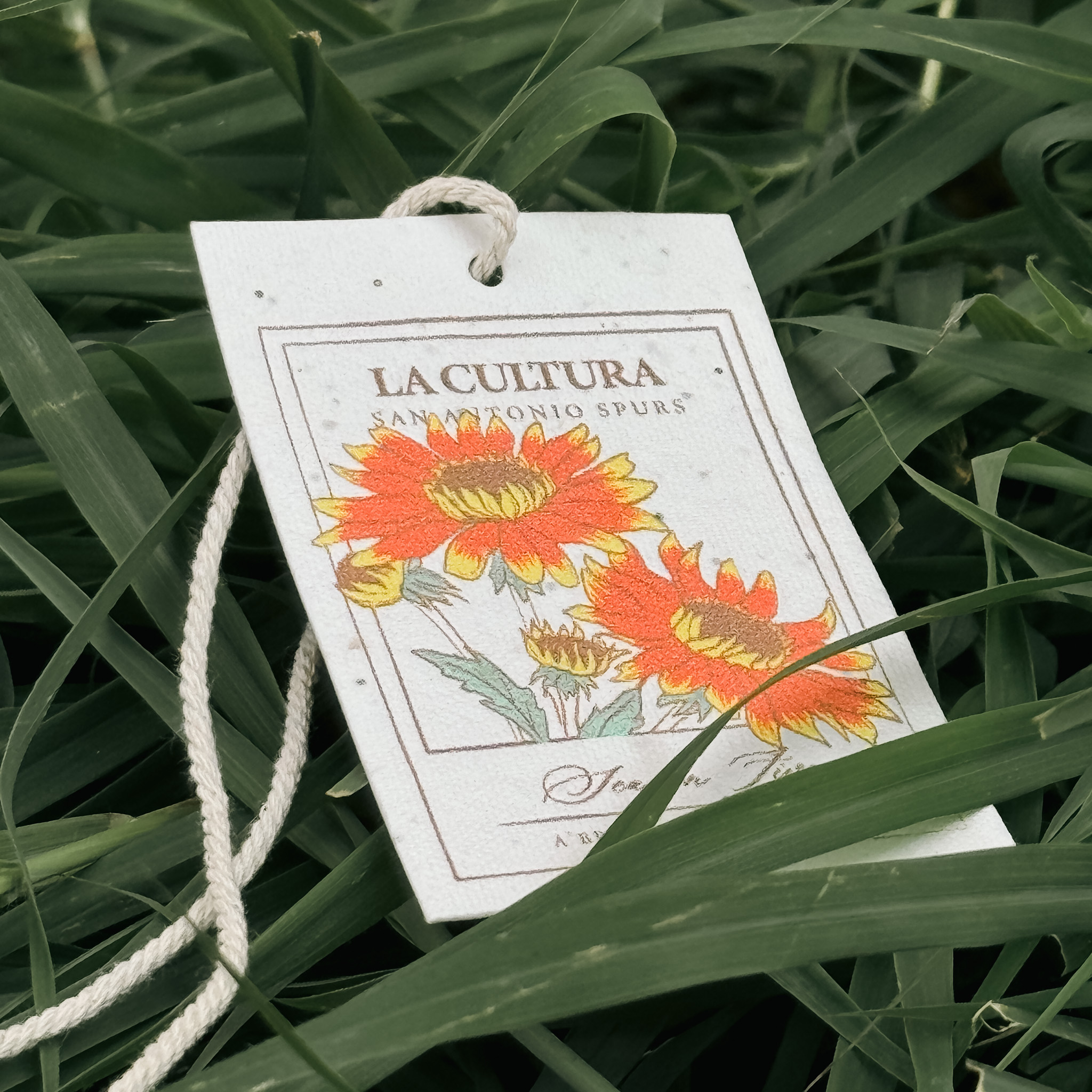 San Antonio Spurs Youth Stadium Essentials La Cultura 2024 T-Shirt