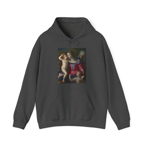 BRONZINO, Agnolo - The Madonna and Child with Saints (Artwork) Hoodie