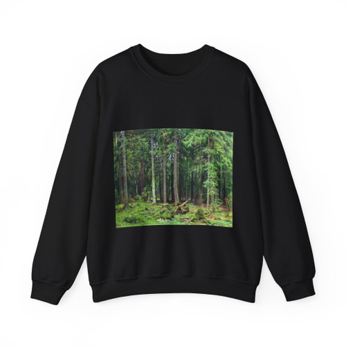 SHISKIN, Ivan Ivanovich - Forest in Mordvinova. 1891 83h110 (Artwork) Crewneck Sweatshirt