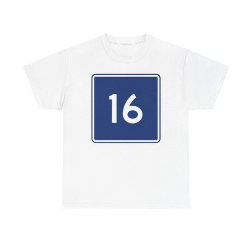 CR 16 jct blue (Ohio) (Road Sign) T-Shirt