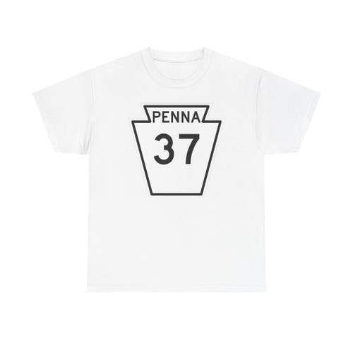 PA-37 1948 (Pennsylvania) (Road Sign) T-Shirt