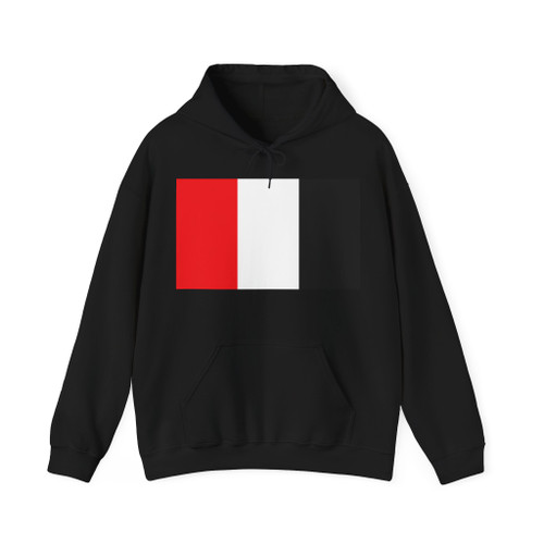 Bandera Partido Acción Democrática Popular Costa Rica (Costa Rica) Hoodie