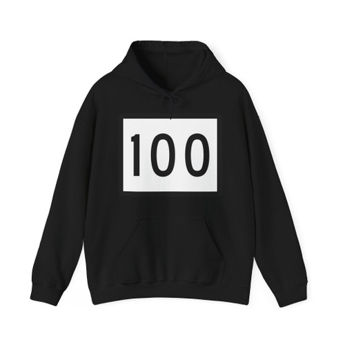 Connecticut Highway 100 wide (Connecticut) (Road Sign) Hoodie
