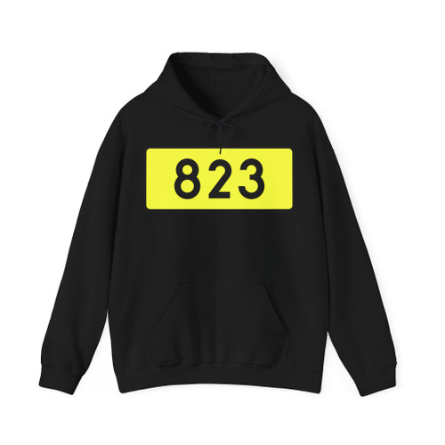 DW823-PL (Poland) (Road Sign) Hoodie