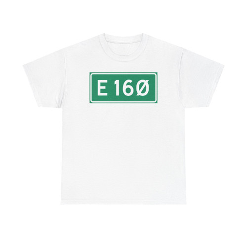 Riksvei E 16 Ø (Norway) (Road Sign) T-Shirt