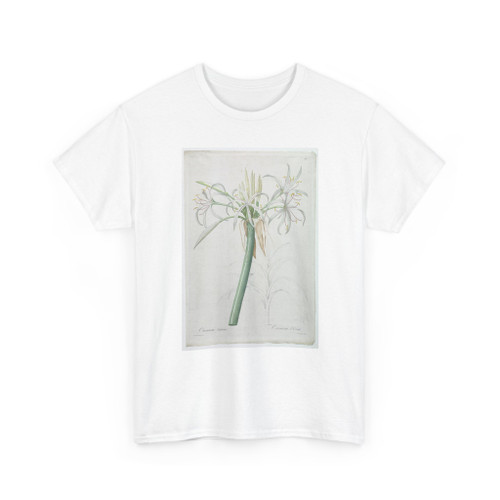 De Gouy, French, active 18th century - Crinum taitens - 18th century - T-Shirt