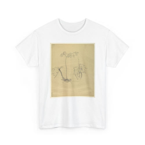 Sophia L. Crownfield, (American, - Study of Begonia - early 20th century v2 - T-Shirt