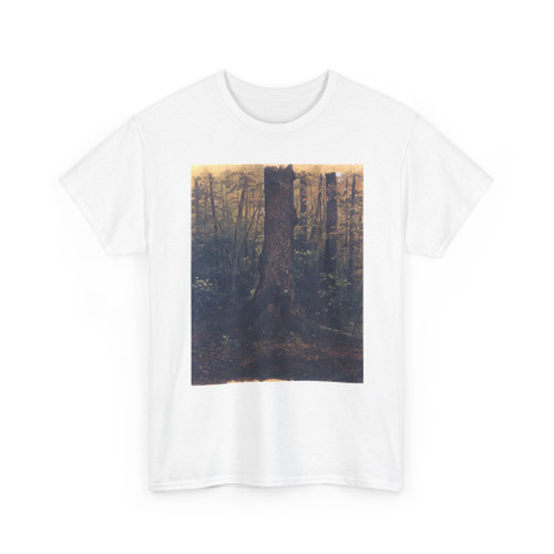 Frederic Edwin Church, American, - In the Woods - possibly October v3 - T-Shirt