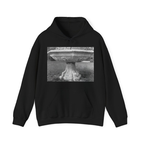 GAGINI, Pace - Fountain (Artwork) Hoodie