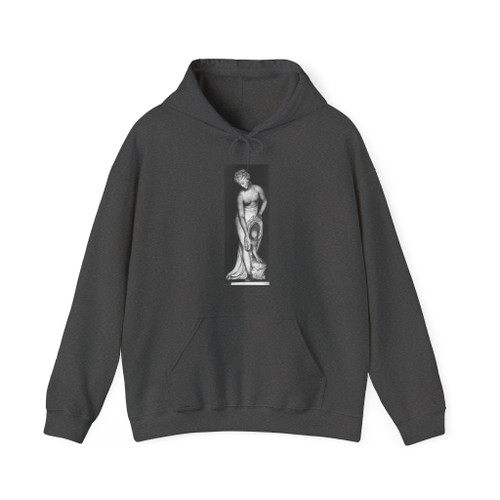 ALLEGRAIN, Christophe-Gabriel - Venus at Bath (Artwork) Hoodie