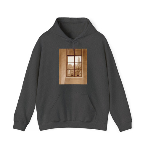 Friedrich Caspar David - Window Looking over the Park (Artwork) Hoodie