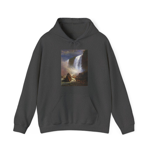 BIERSTADT, Albert - Falls of Niagara from Below (Artwork) Hoodie