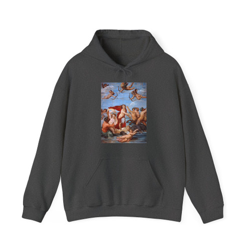 RAFFAELLO Sanzio - The Triumph of Galatea (Artwork) Hoodie
