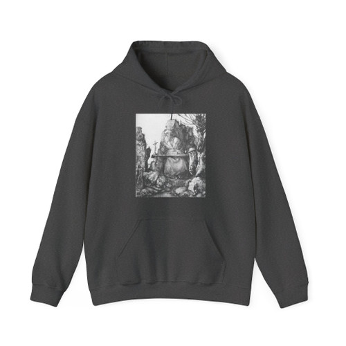DURER, Albrecht - St Jerome by the Pollard Willow (Artwork) Hoodie
