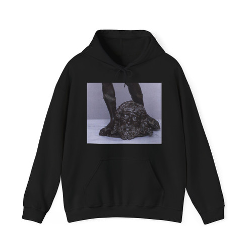 VERROCCHIO, Andrea del - The Young David (detail) (Artwork) Hoodie