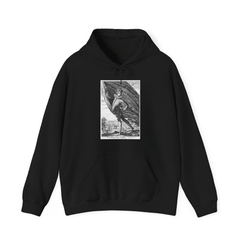 GOLTZIUS, Hendrick - Standard-bearer (Artwork) Hoodie