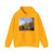 DUJARDIN, Karel - A Party of Charlatans in an Italian Landscape (Artwork) Hoodie