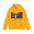 RUBENS, Peter Paul - The apotheosis of Henri IV and the proclamation of the Rege (Artwork) Hoodie