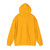 Diocese of Grand Rapids - Hoodie