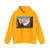 POELENBURGH, Cornelis van - View of the Campo Vaccino (Artwork) Hoodie