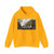 UDEN, Lucas van - Alpine Landscape (Artwork) Hoodie