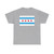 Flag of Chicago Illinois (United States) T-Shirt