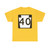 PA-40 (Pennsylvania) (Road Sign) T-Shirt