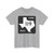 Texas FM 119 (Texas) (Road Sign) T-Shirt