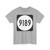 PR tertiary 9189 (Puerto Rico) (Road Sign) T-Shirt