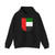 Arms of the United Arab Emirates (United Arab Emirates) (Coat of Arms) Hoodie