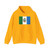 Bandeira Castro Parana Brasil (Brazil) Hoodie