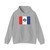 Bandeira Casinhas PE (Brazil) Hoodie