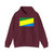 Color: Maroon | Position: front | Image: 1