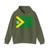 Bandera de Castelnou Teruel (Spain) Hoodie