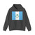 Bandera de la Provincia de Neuquén (Argentina) Hoodie