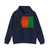 Flag of Afghanistan Gold Vers (Afghanistan) Hoodie