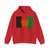 Flag of Afghanistan Gold Vers (Afghanistan) Hoodie