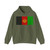 Flag of Afghanistan 2002-2004 variant with golden arms (Afghanistan) Hoodie