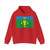 Flag of Anninskoe Leningrad oblast (Russia) Hoodie