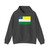 Flag of Barcelos Amazonas (Brazil) Hoodie