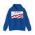 Flag of Delaware County Iowa Sesquicentennial (United States) Hoodie