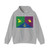 Flag of East district in Moscow (Russia) Hoodie